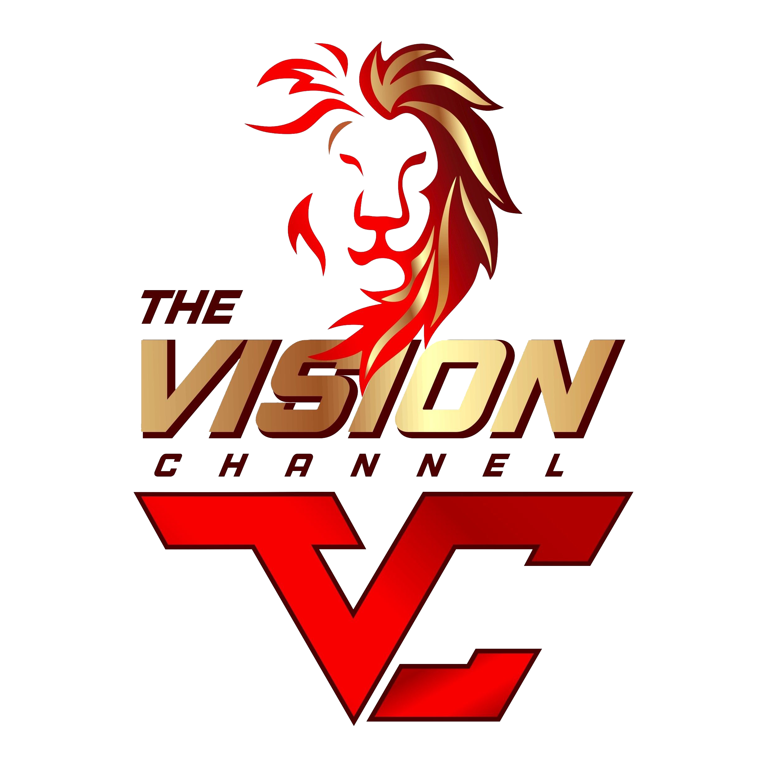 The vision channel